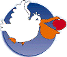 Logo_Pellicano