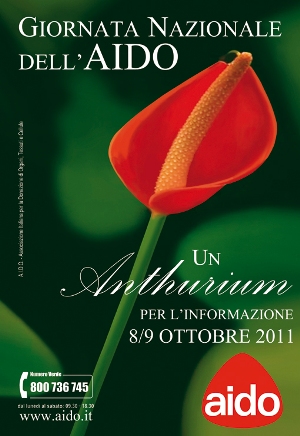 ottobre_2011