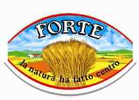 Forte logo