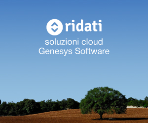 ridati web 3 300 250